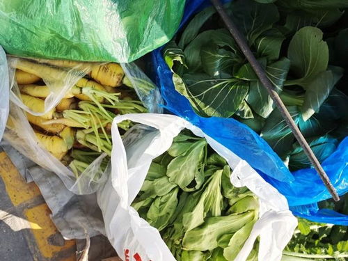 分外甜 冬季限定美食 霜打菜 最佳賞味期來了