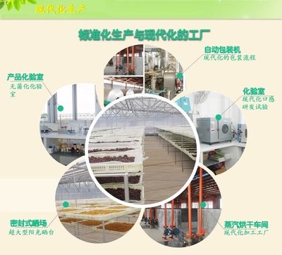 【同享】食品嶺南特色廣式加應(yīng)子蜜餞果脯涼果類零食125g&times;10【全國包郵】